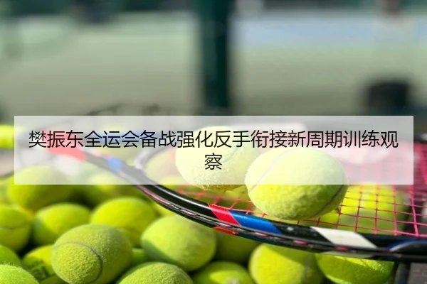 樊振东全运会备战强化反手衔接新周期训练观察